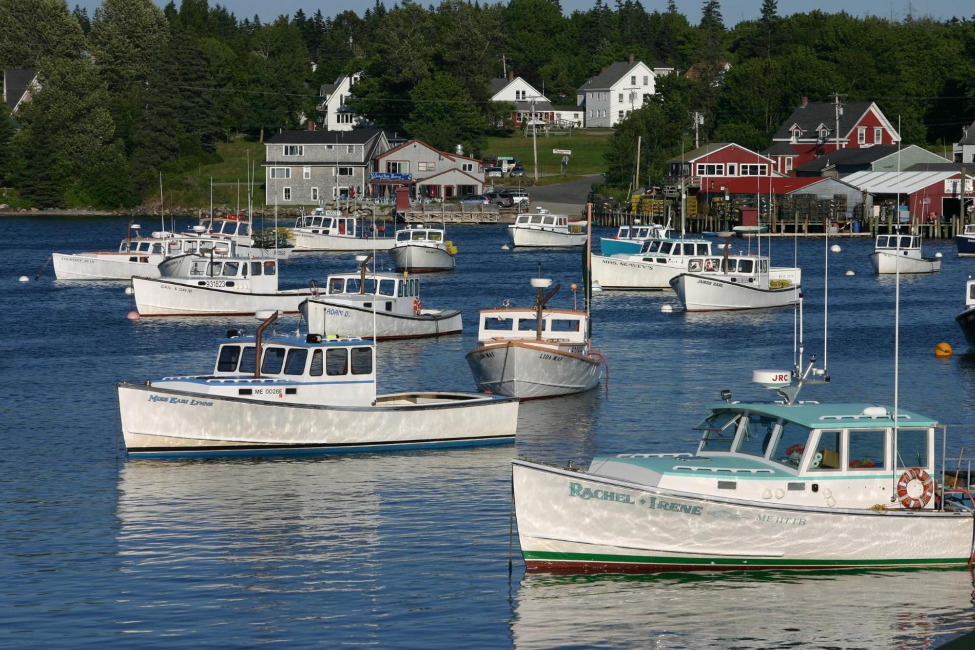 Lighthouse Cabins Maine Bass Harbor Exterior foto